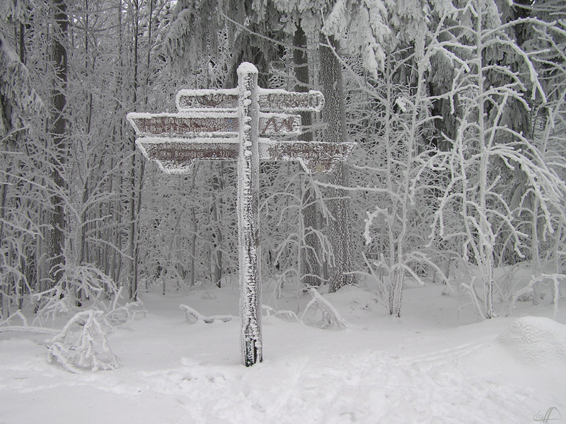 verschneiter Wegweiser im Harz