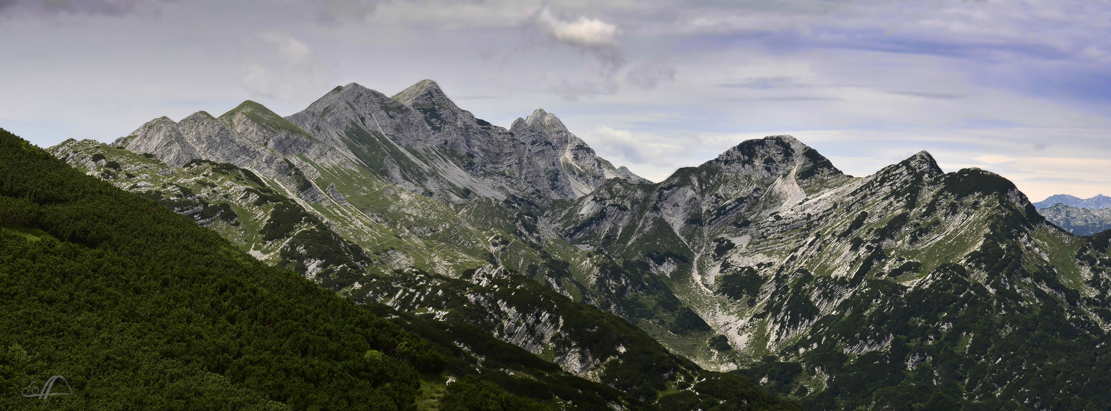 julische Alpen, Vogel